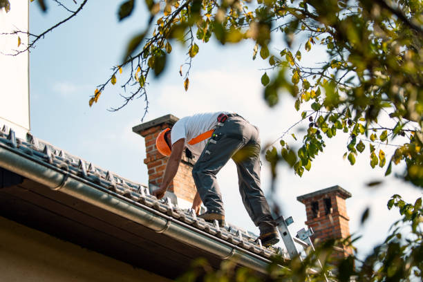 Best Roof Replacement Cost  in Madisonville, TX