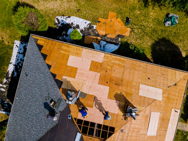 Best Roof Leak Repair  in Madisonville, TX