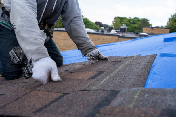 Best Gutter Installation and Roofing  in Madisonville, TX